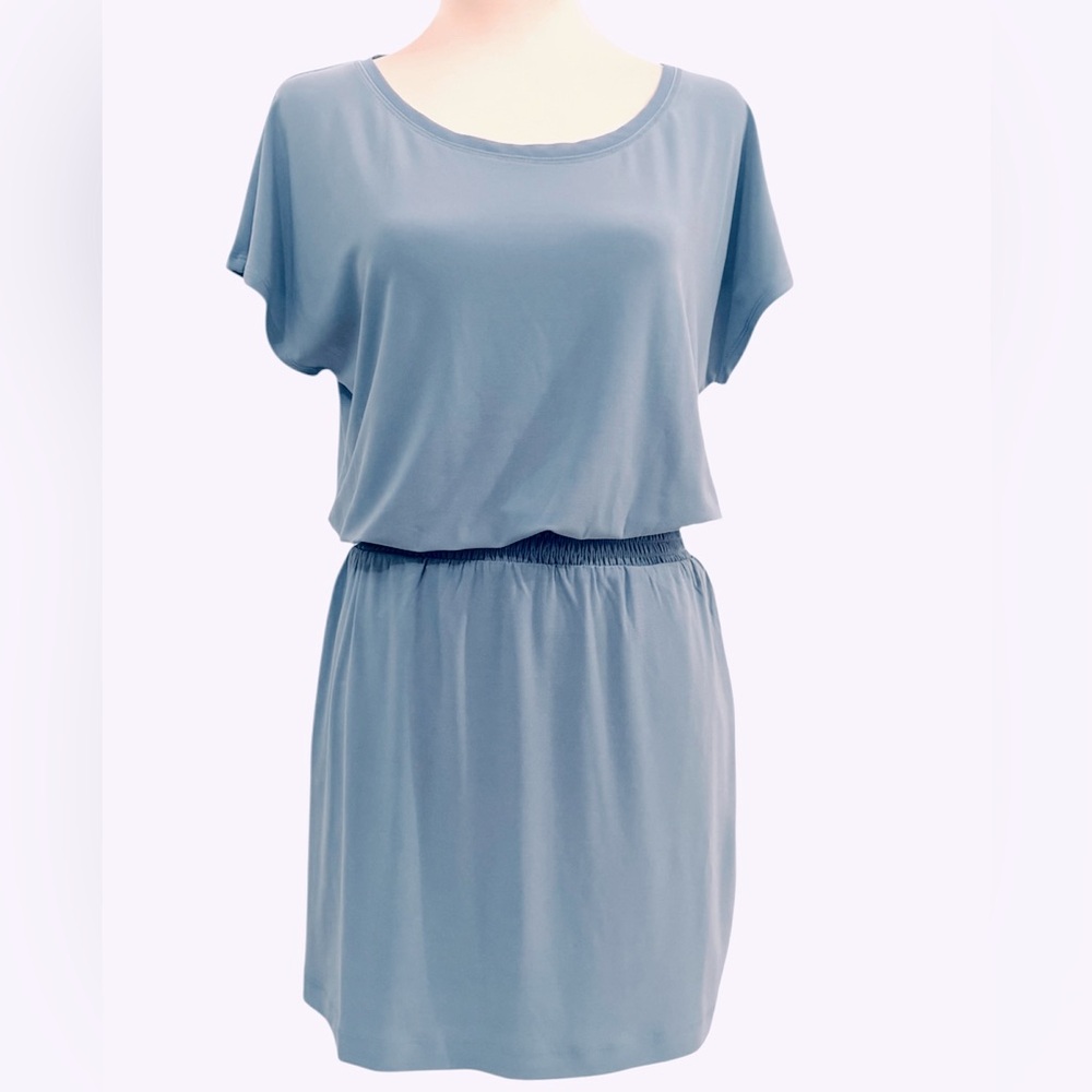 NWOT WHBM Dress XXS